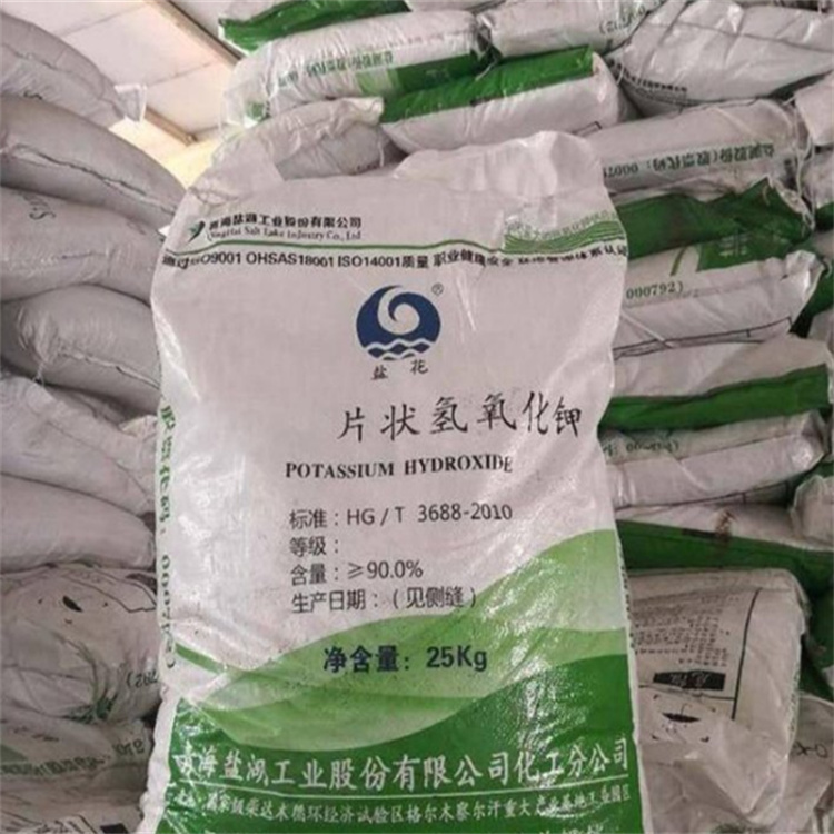 想免费看日逼视频网站